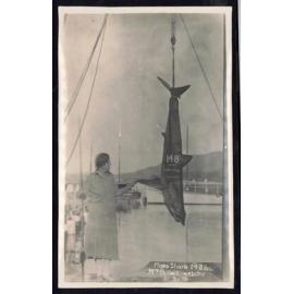 Whangaroa  Swordfish and Big Game Fishing
