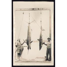 Whangaroa  Swordfish and Big Game Fishing