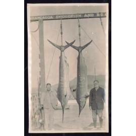 Whangaroa  Swordfish and Big Game Fishing