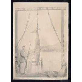 Whangaroa  Swordfish and Big Game Fishing