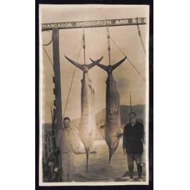 Whangaroa  Swordfish and Big Game Fishing