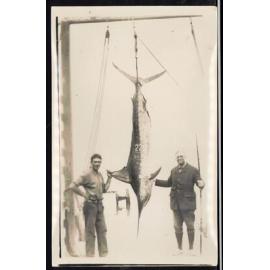 Whangaroa  Swordfish and Big Game Fishing