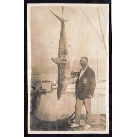 Whangaroa  Swordfish and Big Game Fishing