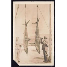 Whangaroa  Swordfish and Big Game Fishing