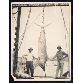 Whangaroa  Swordfish and Big Game Fishing