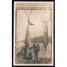 Whangaroa  Swordfish and Big Game Fishing