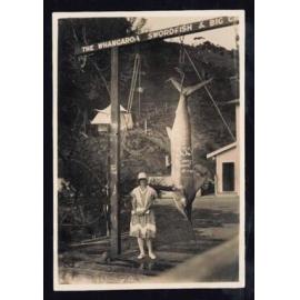 Whangaroa  Swordfish and Big Game Fishing