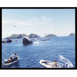 Sinking of the Rainbow Warrior
