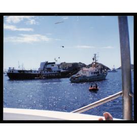 Rainbow Warrior (1)