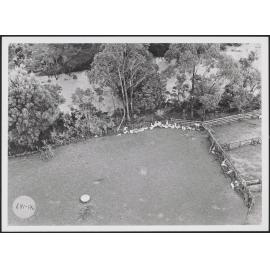 Abbott Farm (2)