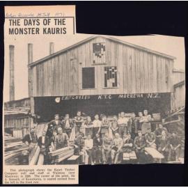 Days of the monster kauris