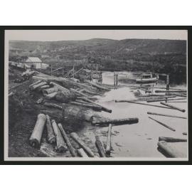 Kauri Timber Co Tramway Terminal